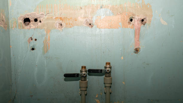 Best Professional water damage repair  in Bloomfield, IN